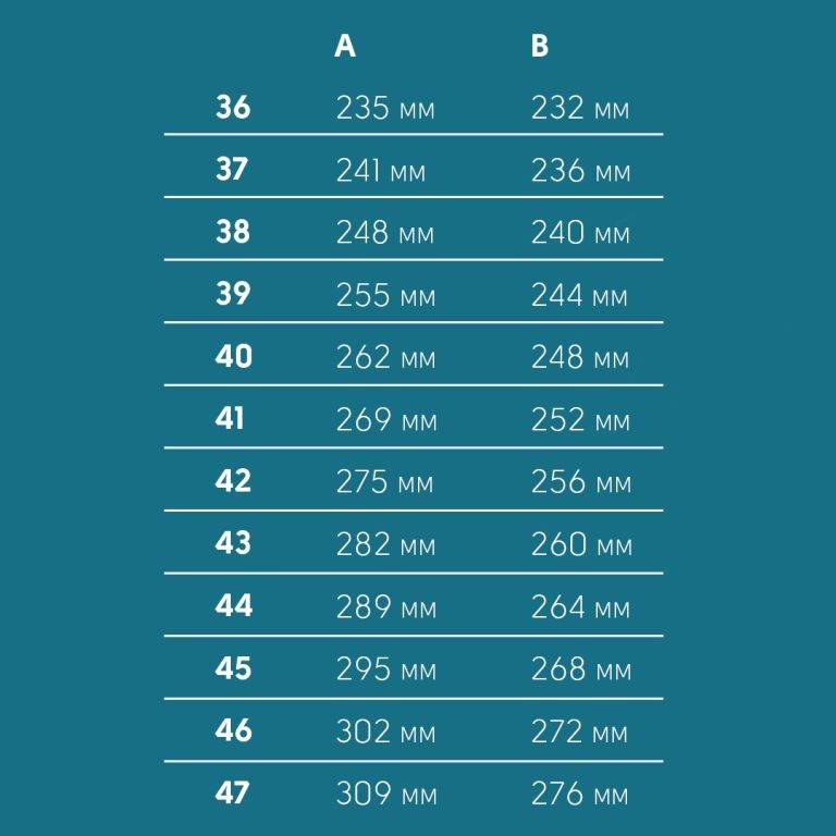 Upcycled Ballerina Shoes